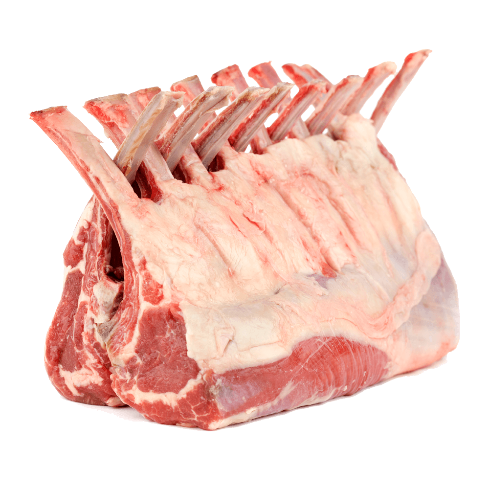 Tulang sapi dan sumsum segar untuk kaldu