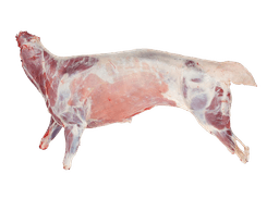 Karkas kambing utuh segar dari Lembu Lemu Temanggung