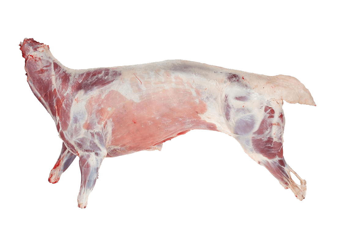 Karkas kambing utuh segar dari Lembu Lemu Temanggung